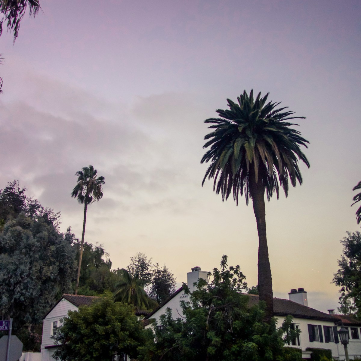 First Time in the City of&nbsp;Angels.