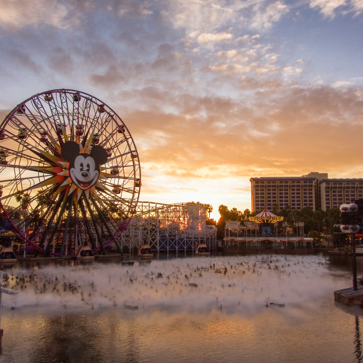 Disney California Adventure!&nbsp;(p1)